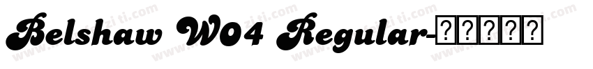 Belshaw W04 Regular字体转换